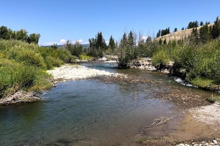 Review on Spread Creek Dispersed Camping Area, Bridger-Teton