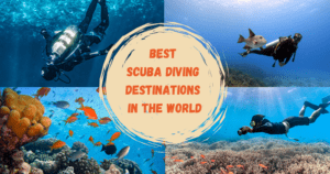 Best Scuba Diving Destinations in the World
